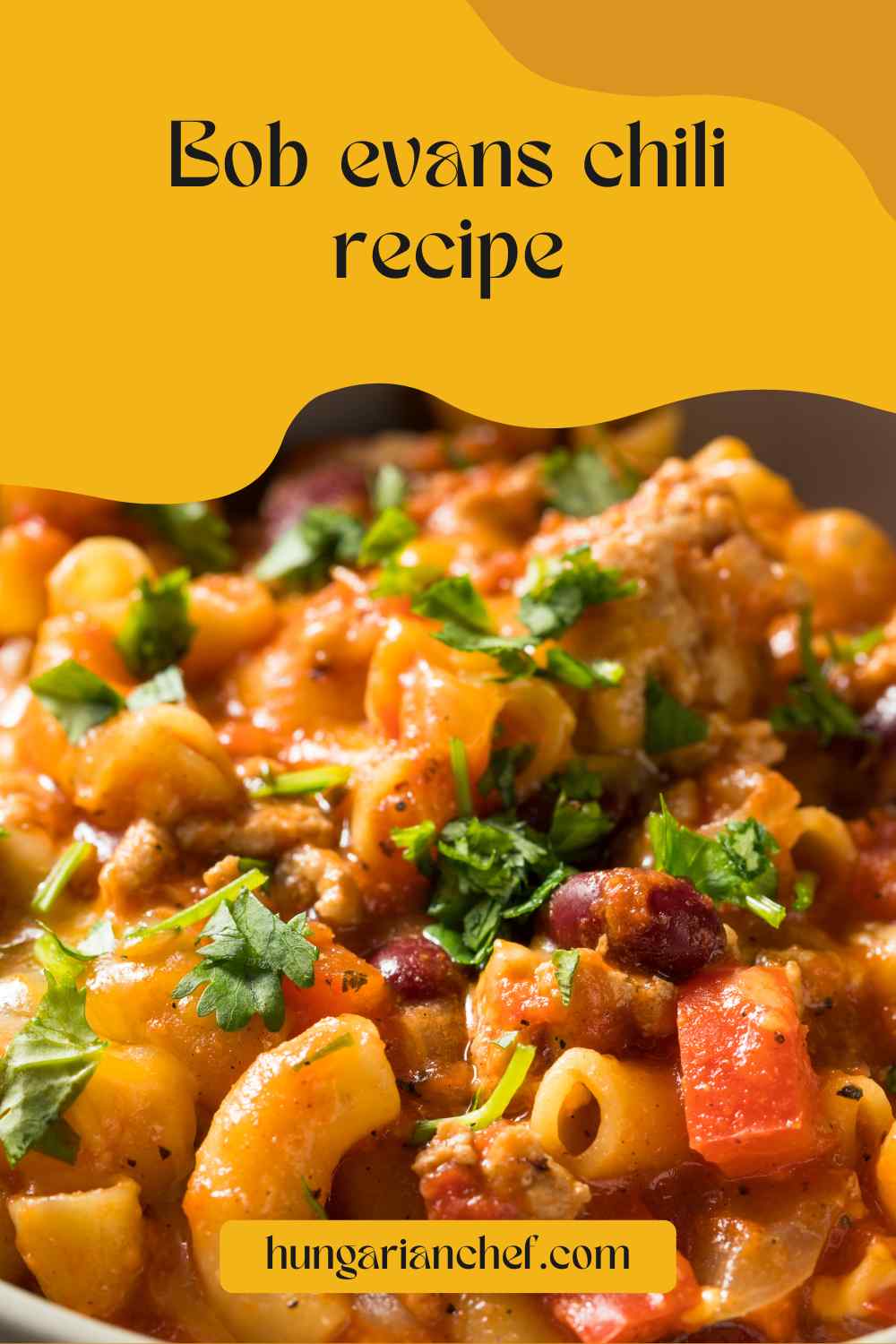 Bob Evans Chili Recipe Hungarian Chef