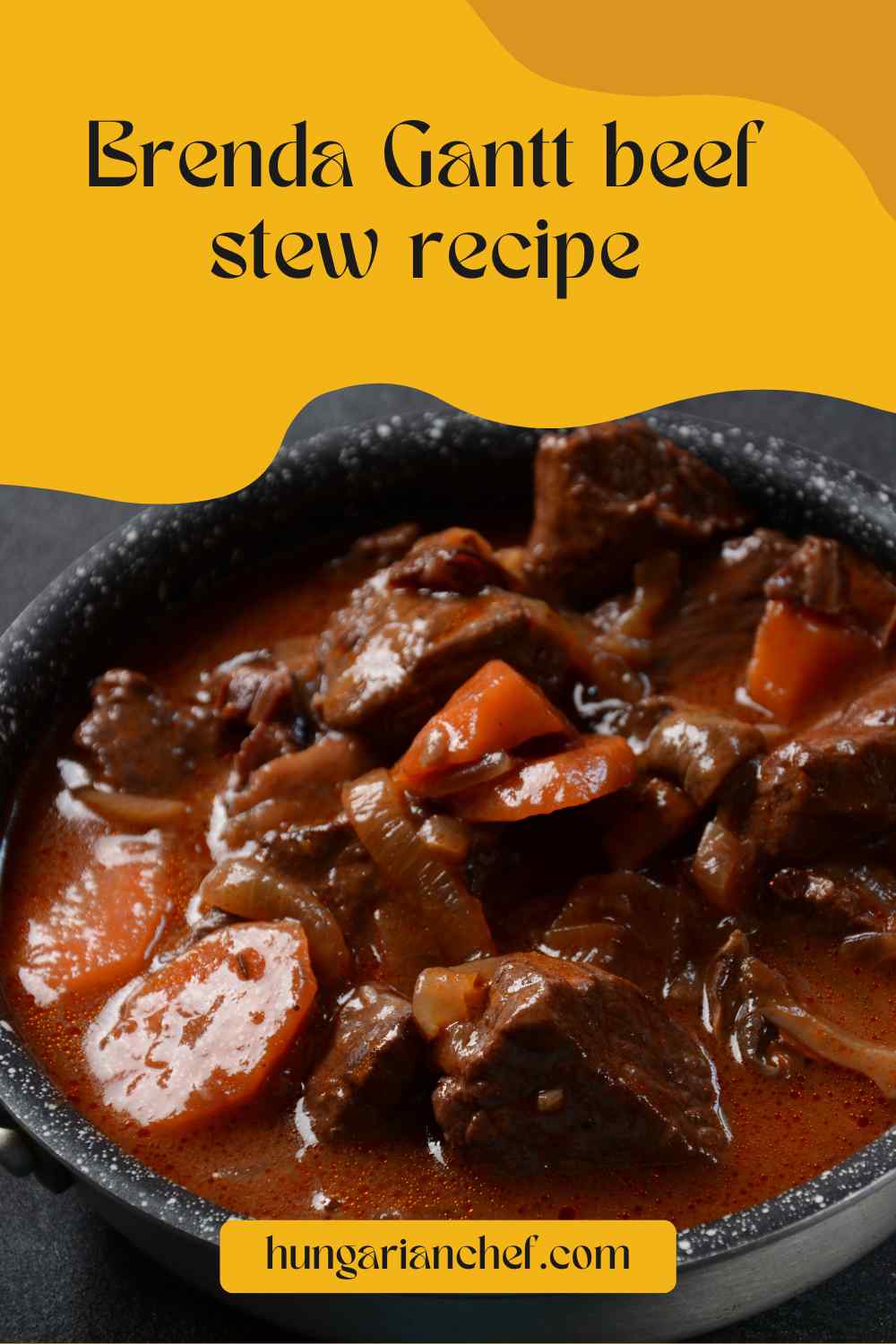 Brenda Gantt Beef Stew Recipe Hungarian Chef