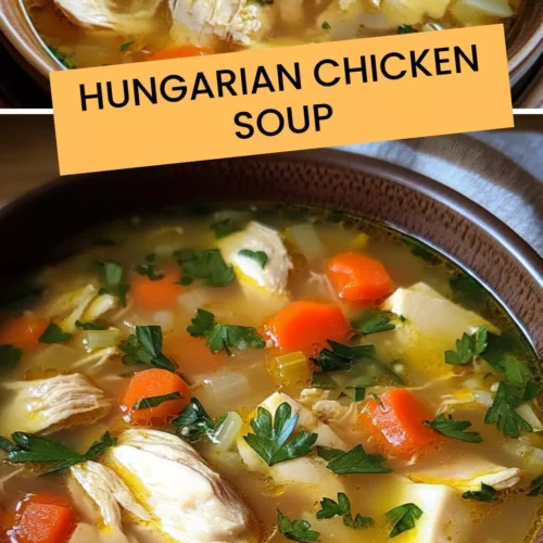 Best Hungarian Chicken Soup