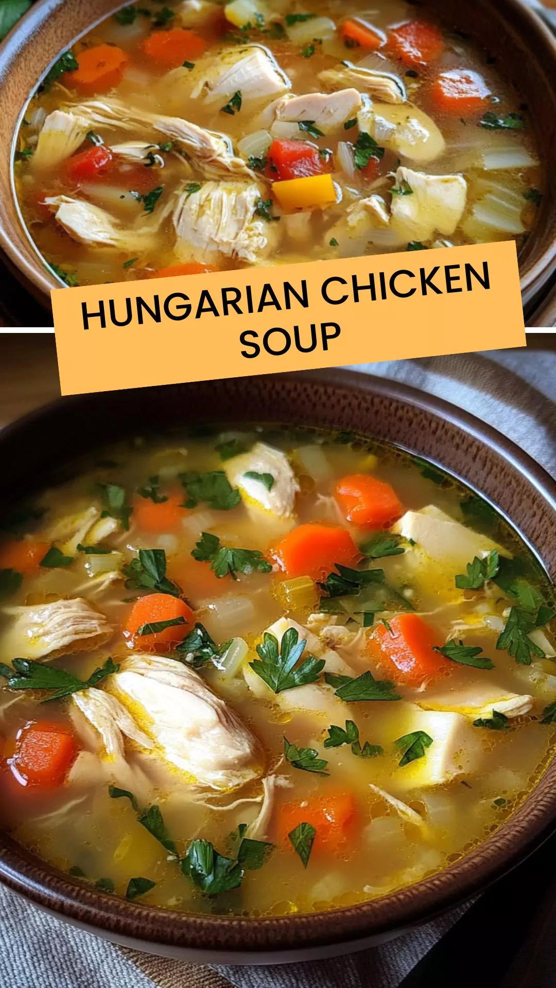 Best Hungarian Chicken Soup