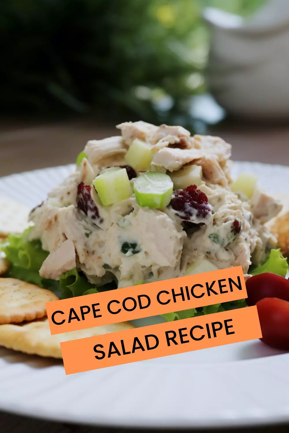 cape cod chicken salad recipe
