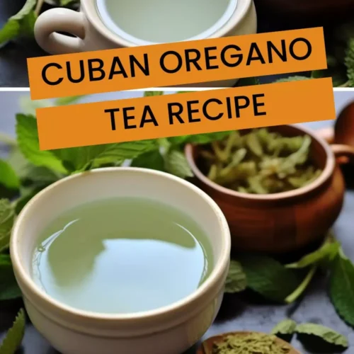 cuban oregano tea recipe