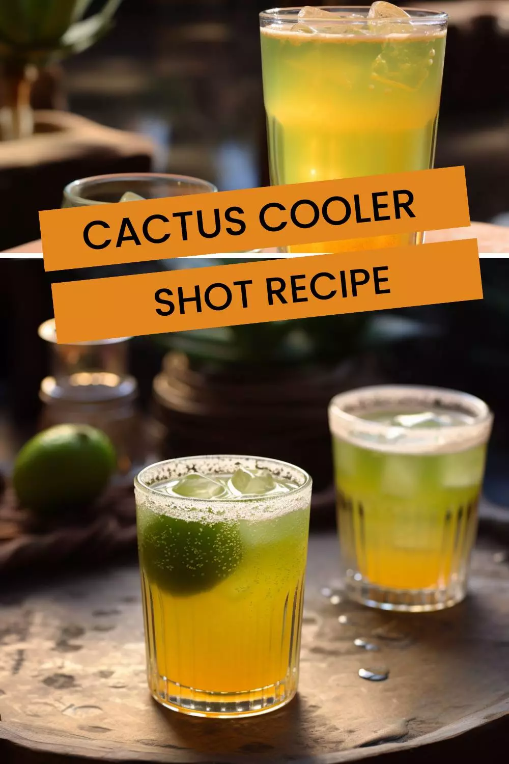 cactus cooler shot recipe