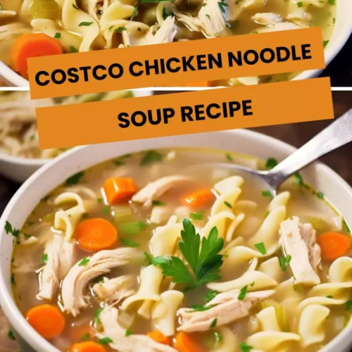 costco chicken noodle soup recipe