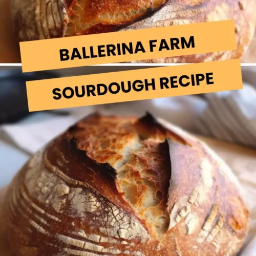 ballerina farm sourdough recipe