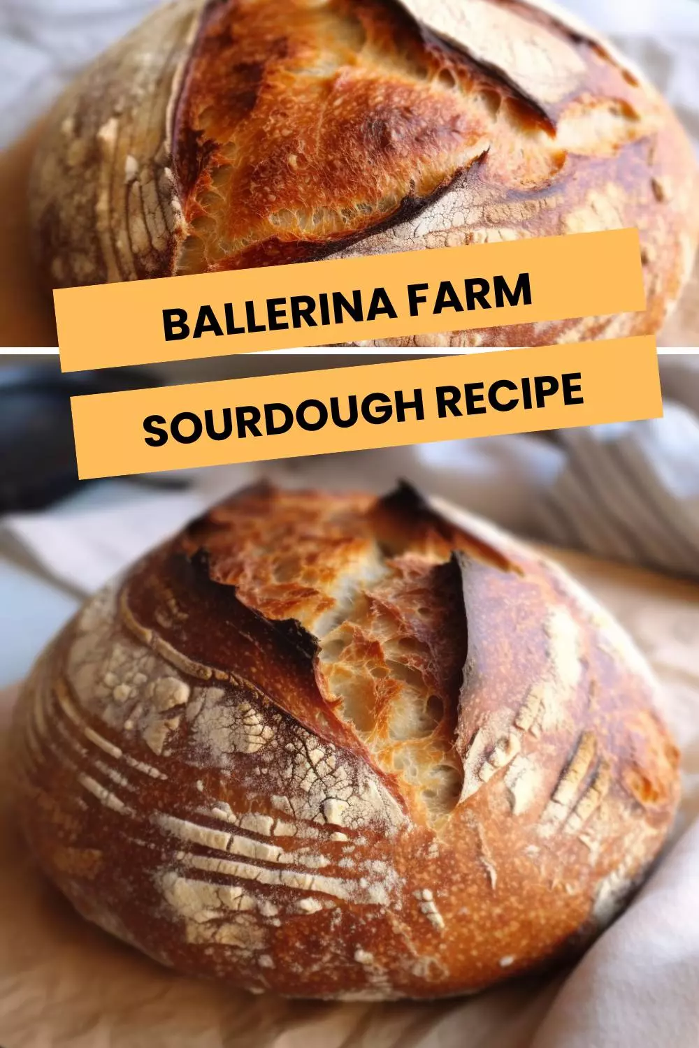 ballerina farm sourdough recipe