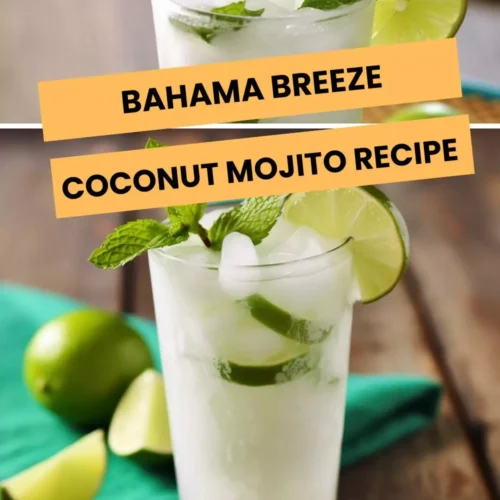 bahama breeze coconut mojito recipe