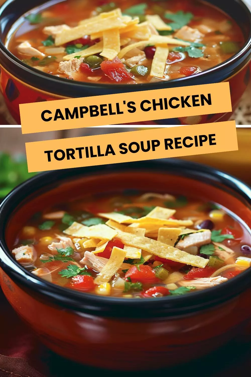 campbell's chicken tortilla soup recipe