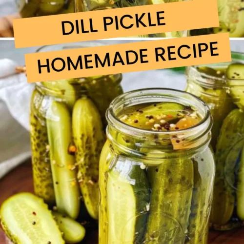 Dill pickle homemade recipe