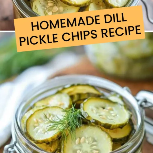 Best Homemade dill pickle chips recipe