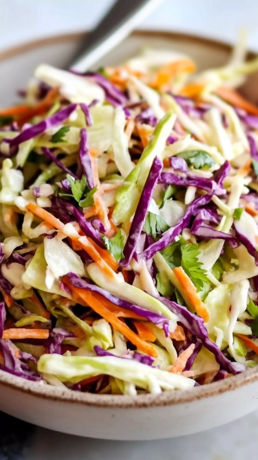 Easy Healthy Coleslaw Without Mayonnaise Easy Healthy Coleslaw Without Mayonnaise