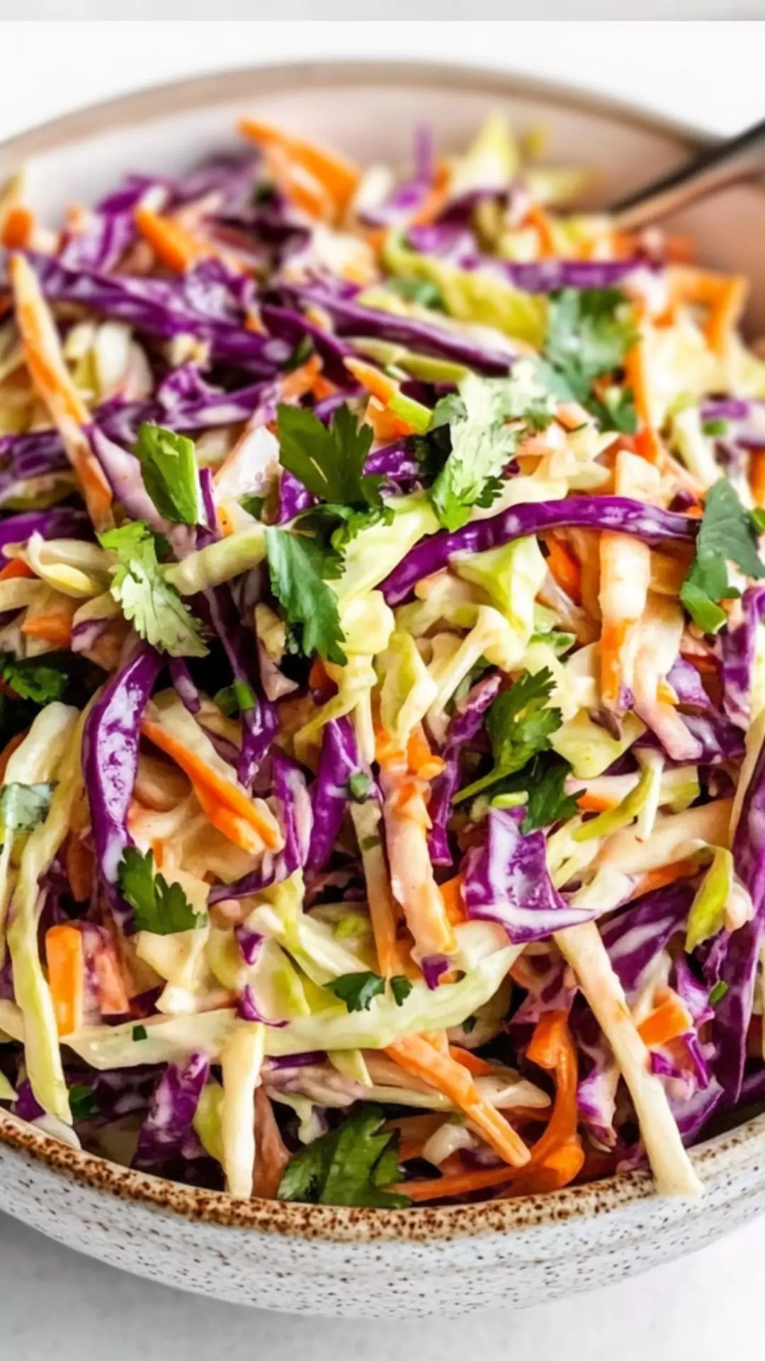 Healthy Coleslaw Without Mayonnaise Healthy Coleslaw Without Mayonnaise