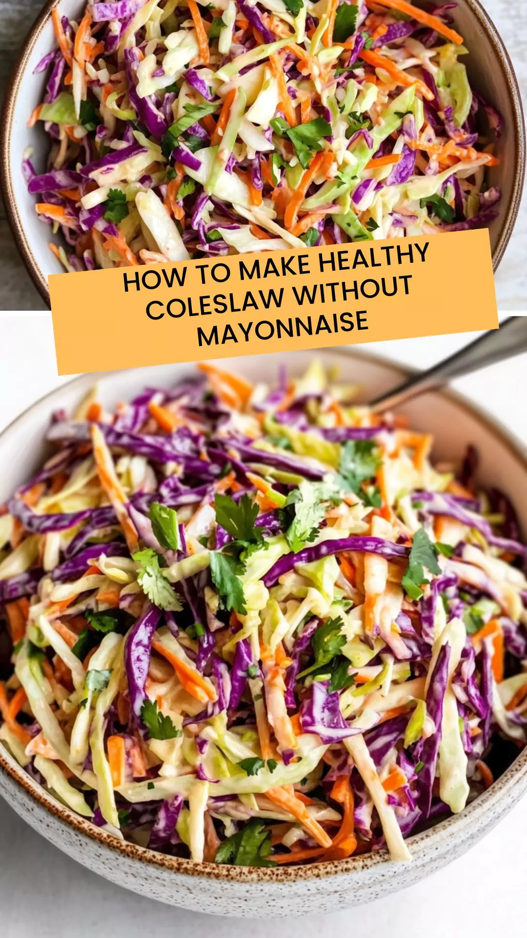 How To Make Healthy Coleslaw Without Mayonnaise How To Make Healthy Coleslaw Without Mayonnaise